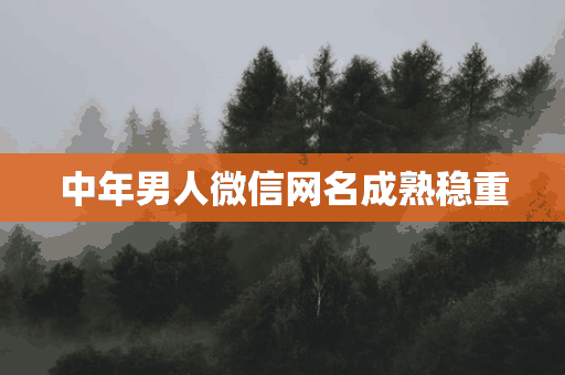 中年男人微信网名成熟稳重(中年男人微信网名成熟稳重招财)